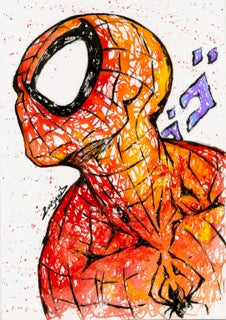 SPYDERMAN 2491A3