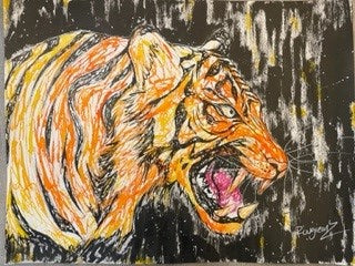 TIGRE  1071A3